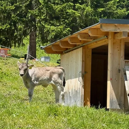 Sonn-winkl Apartment Mittelberg