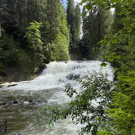 Sonn-winkl * Mittelberg