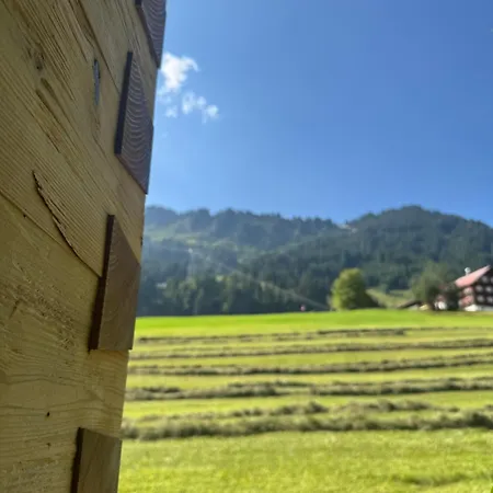 Apartment Sonn-winkl Mittelberg