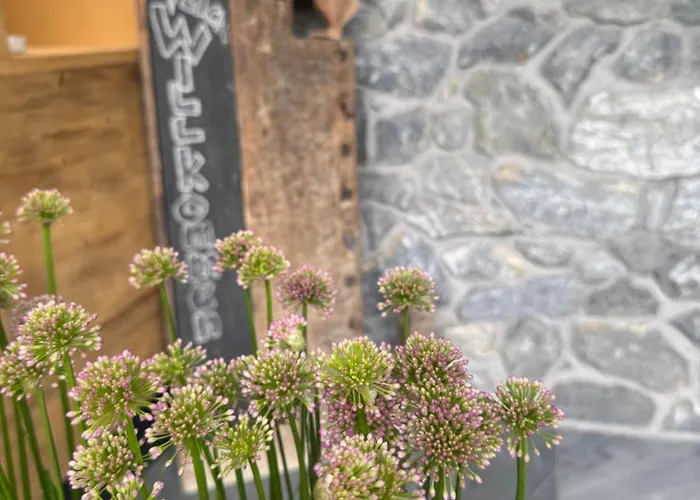 Sonn-winkl Mittelberg