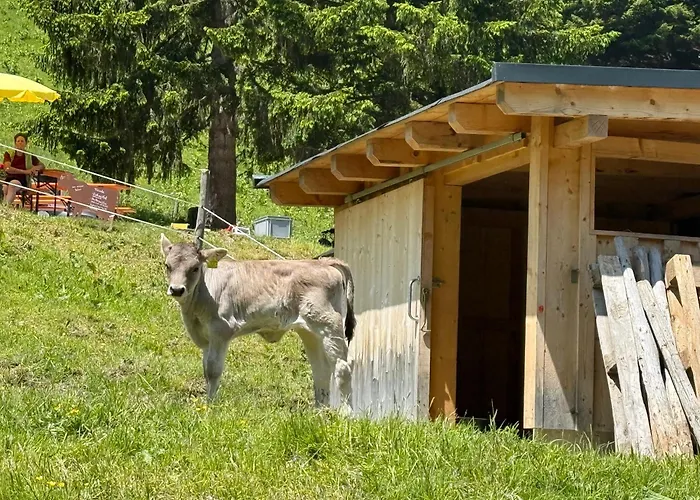 Sonn-winkl Apartman Mittelberg