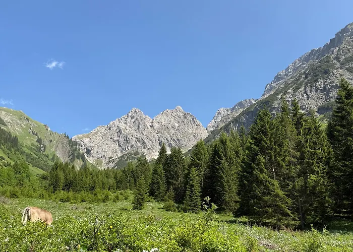 Apartman Sonn-winkl *